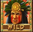 wild-symbol